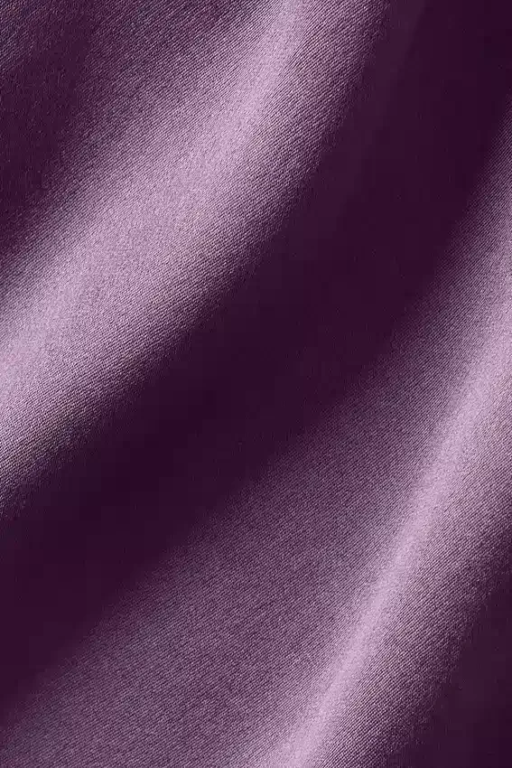 „Silk Luminous“ kurzes Langarmshirt mit Knopfleiste – Plum Kiss